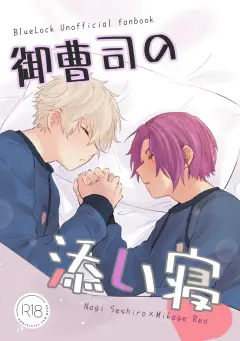 th-nhentai-667995 - [魚屋 (蒼坂)] 御曹司の添い寝 (Blue Lock) [Digital]