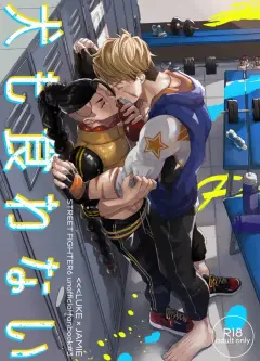 th-nhentai-673858 - [KANJOUgenome (Matsumura Amaka)] 犬も食わない (Street Fighter) [Digital]