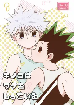 th-nhentai-674104 - (Re-HUNTER 10) [Kizuguchi wa Nurasanai (Gyonii)] Kinoko wa Wake o Shitte Iru (Hunter x Hunter)